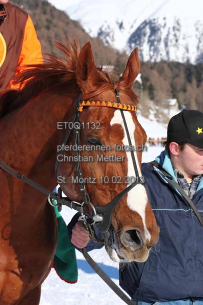 ET0Q1132 prot